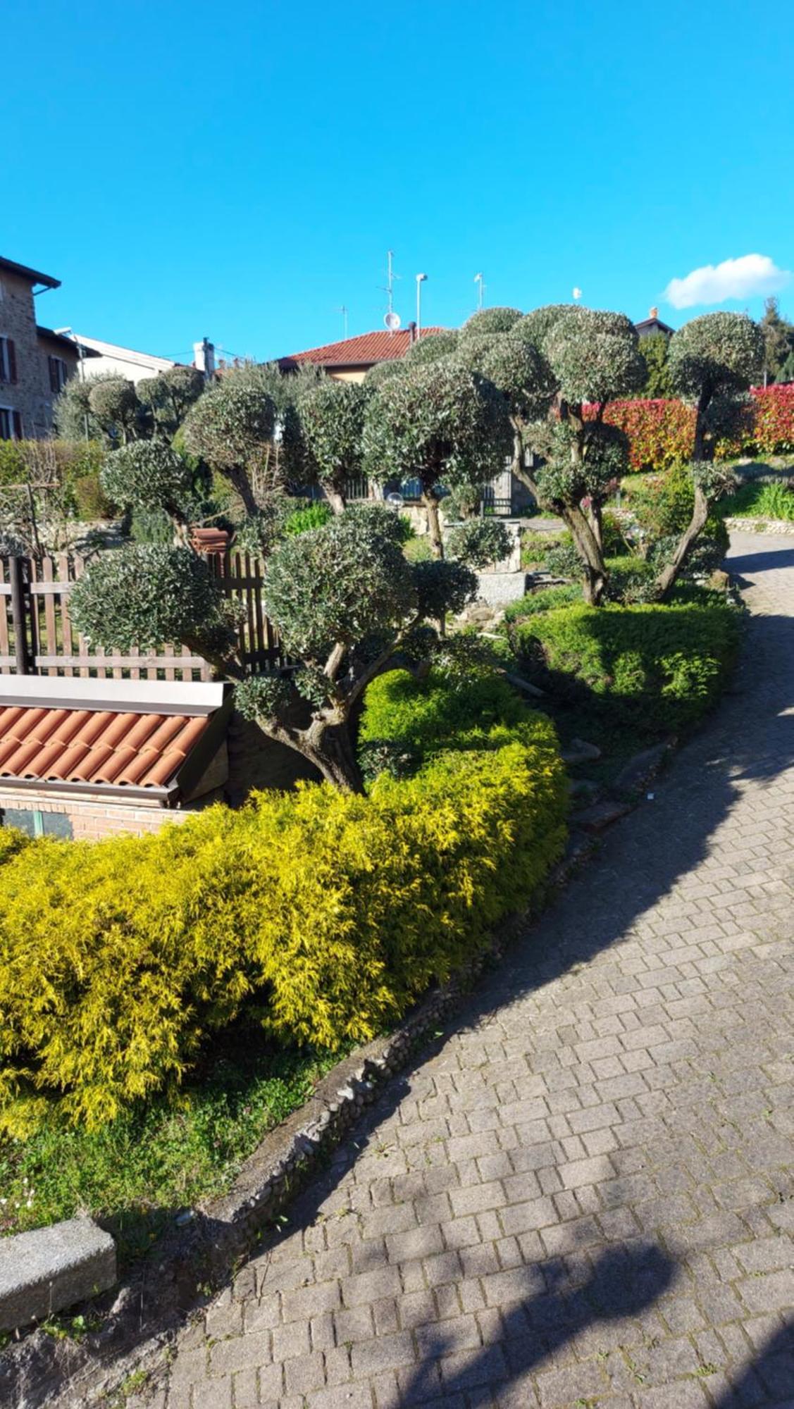 Al Vecchio Lavatoio Colle Brianza Exterior foto
